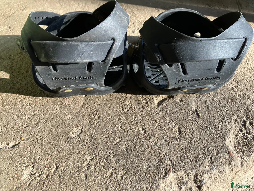 Övrig Hästutrustning hästutrustning till salu: Flex boots - Annons 2