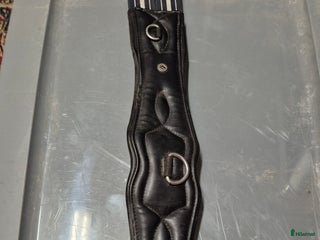 Sadeltillbehör hästutrustning till salu: Sadelgjord och handtag i Veberöd - Annons 15