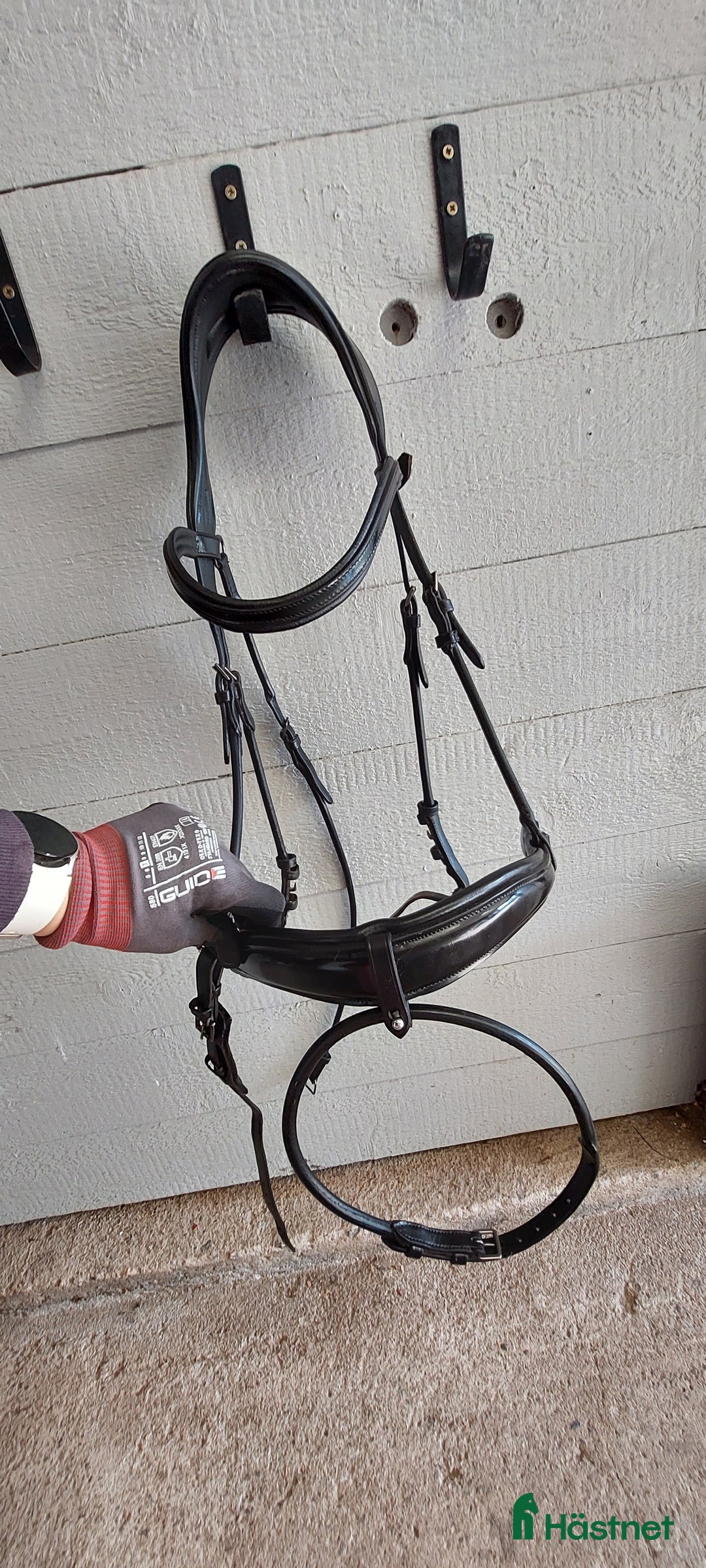 Träns hästutrustning till salu: PS träns  i Frändefors - Annons 4