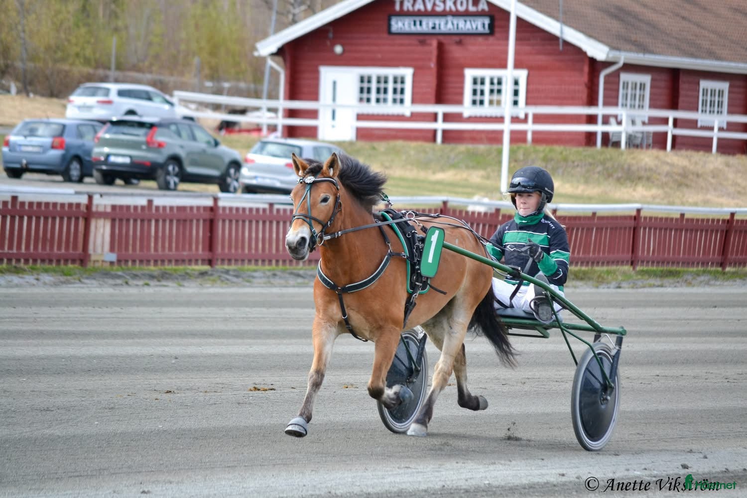  hästar Mysig ponnytravare - Annons 2