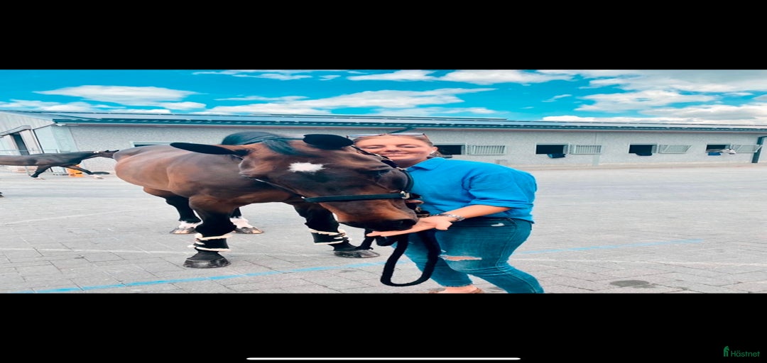 Galleribild {{count}}