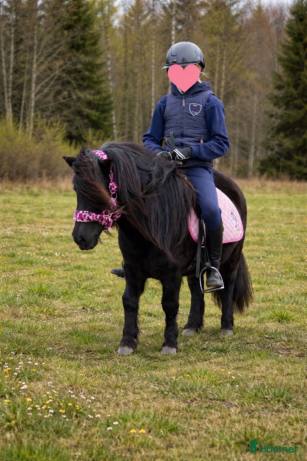  hästar Bästa barnponnyn! - Annons 1