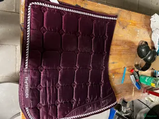 Schabrak & Vojlockar hästutrustning PS of sweden dressyr schabrak - Annons 9