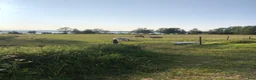Allround hästar sökes: C-/D-ponny sökes - Annons 1