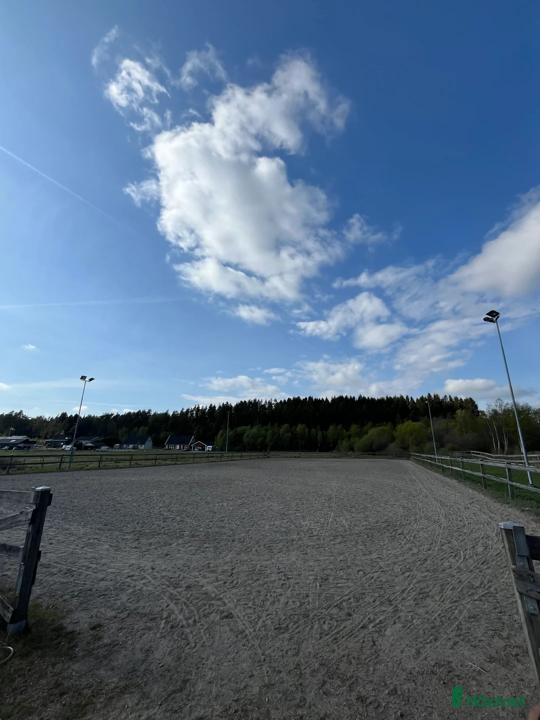  stallplats finnes: Stallplats Islandshäst lösdrift - Kungälv - Annons 7