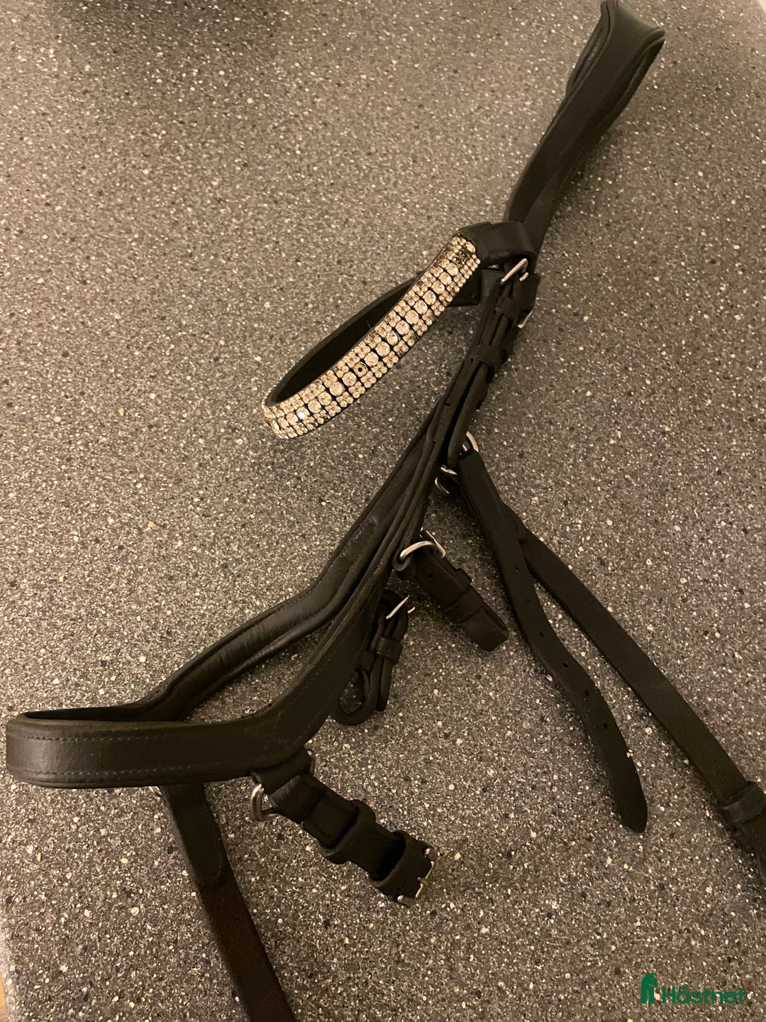 Träns hästutrustning till salu: Micklemträns i Örebro - Annons 3