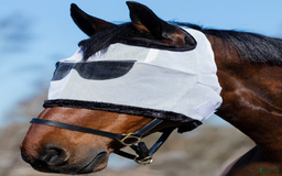 Övrig utrustning övrig utrustning till salu: (SÖKES!) Billy Fly Mask i Mölndal - Bild 1