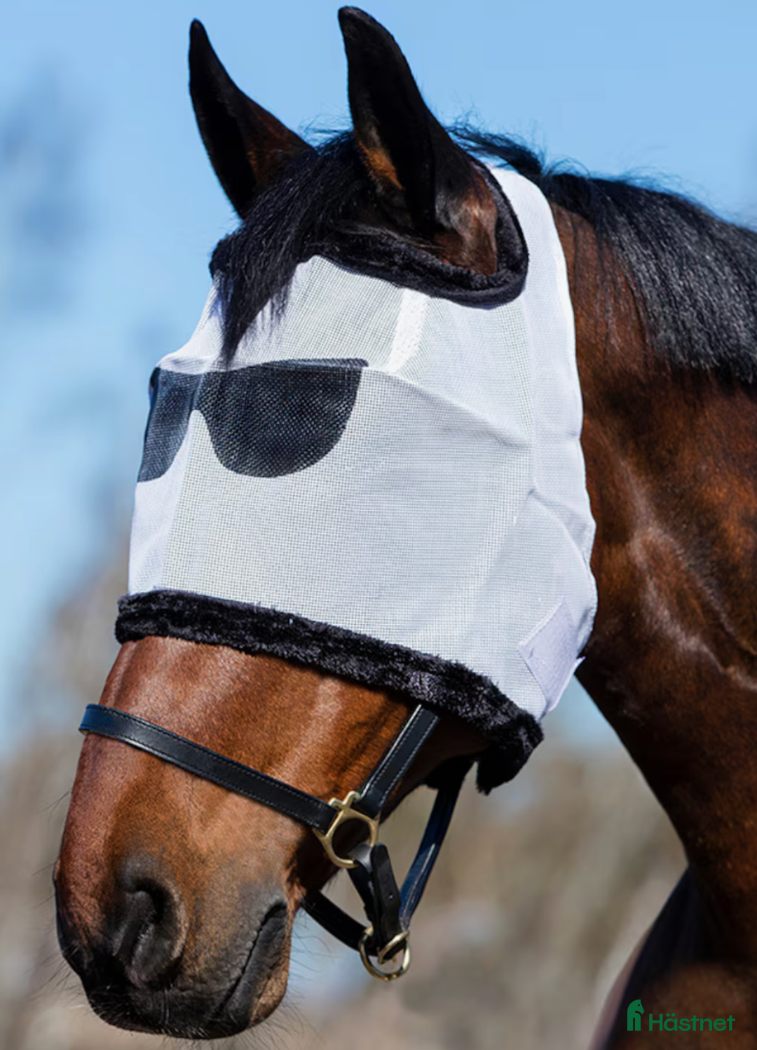 Övrig utrustning övrig utrustning till salu: (SÖKES!) Billy Fly Mask i Mölndal - Bild 1