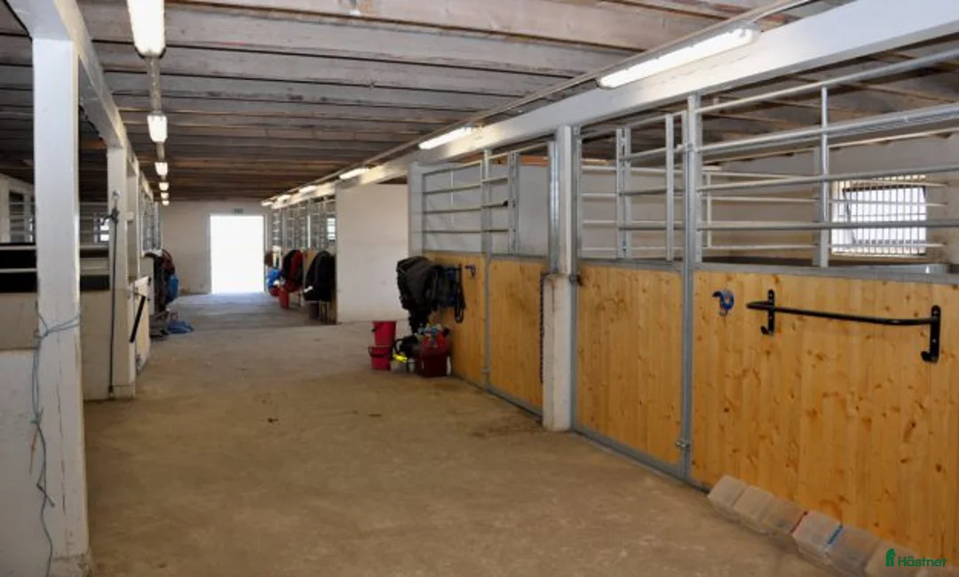  stallplats finnes: Stallplats, hästbox i Bjärred Lilla Bennickan i Bjärred - Annons 11