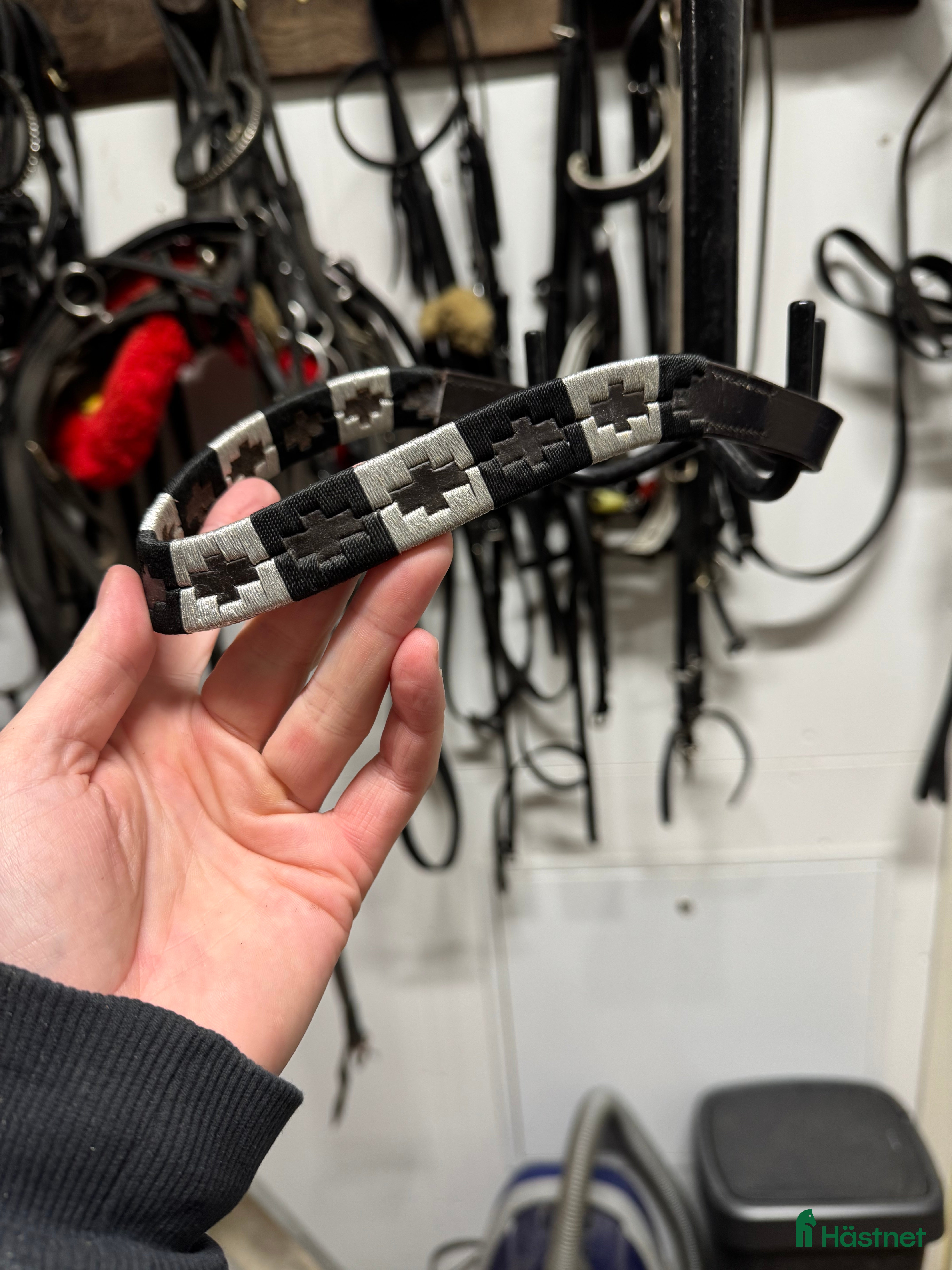 Träns hästutrustning Pannband - Annons 17