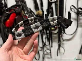 Träns hästutrustning Pannband - Annons 17