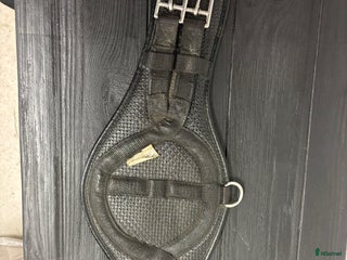 Sadeltillbehör hästutrustning till salu: Dressyrgjord Equiegard i Frösön - Annons 1