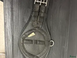 Sadeltillbehör hästutrustning till salu: Dressyrgjord Equiegard i Frösön - Annons 4