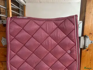 Schabrak & Vojlockar hästutrustning till salu: Fint dressyr schabrak i bra skick i Dalstorp - Annons 3