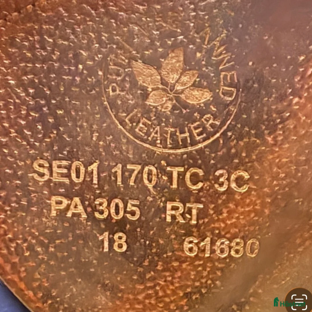 Sadlar hästutrustning till salu: CWD sadel - Annons 3