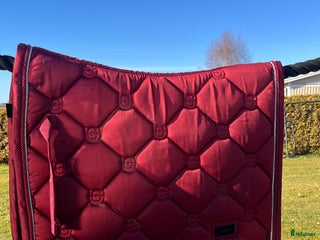 Schabrak & Vojlockar hästutrustning till salu: Es schabrak i Huskvarna - Annons 3