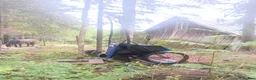 Körvagnar körning till salu: Rockard b-ponny i Trehörningsjö - Annons 1