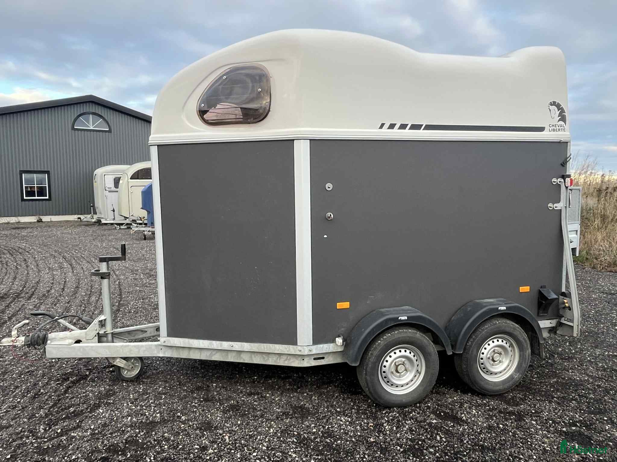 Hästtransporter  fordon & transport till salu: Fin hästtransport utan sadelkammare i Löderup - Annons 5