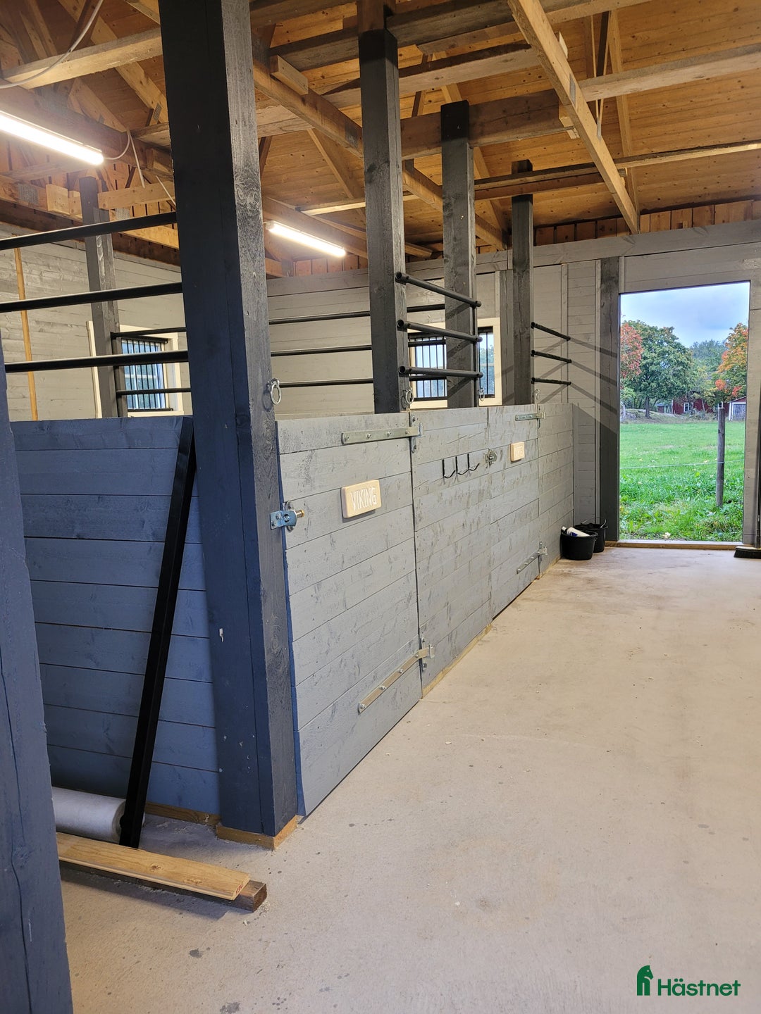 Allround hästar sökes: Trygg, stabil kompis sökes!  i Tranås - Annons 3