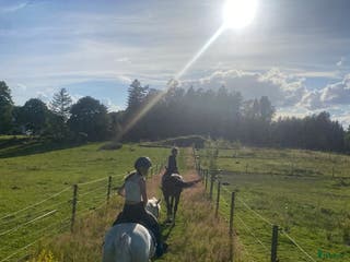 stallplats Stallplatser uthyres i centrala Höör! i Höör - Annons 1