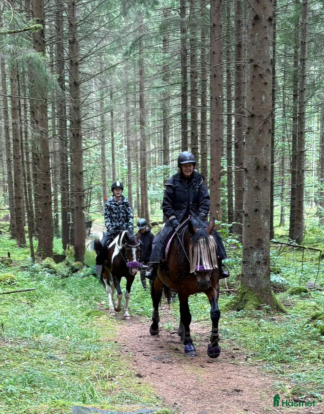  stallplats finnes: Lediga stallplatser i Skövde - Annons 5