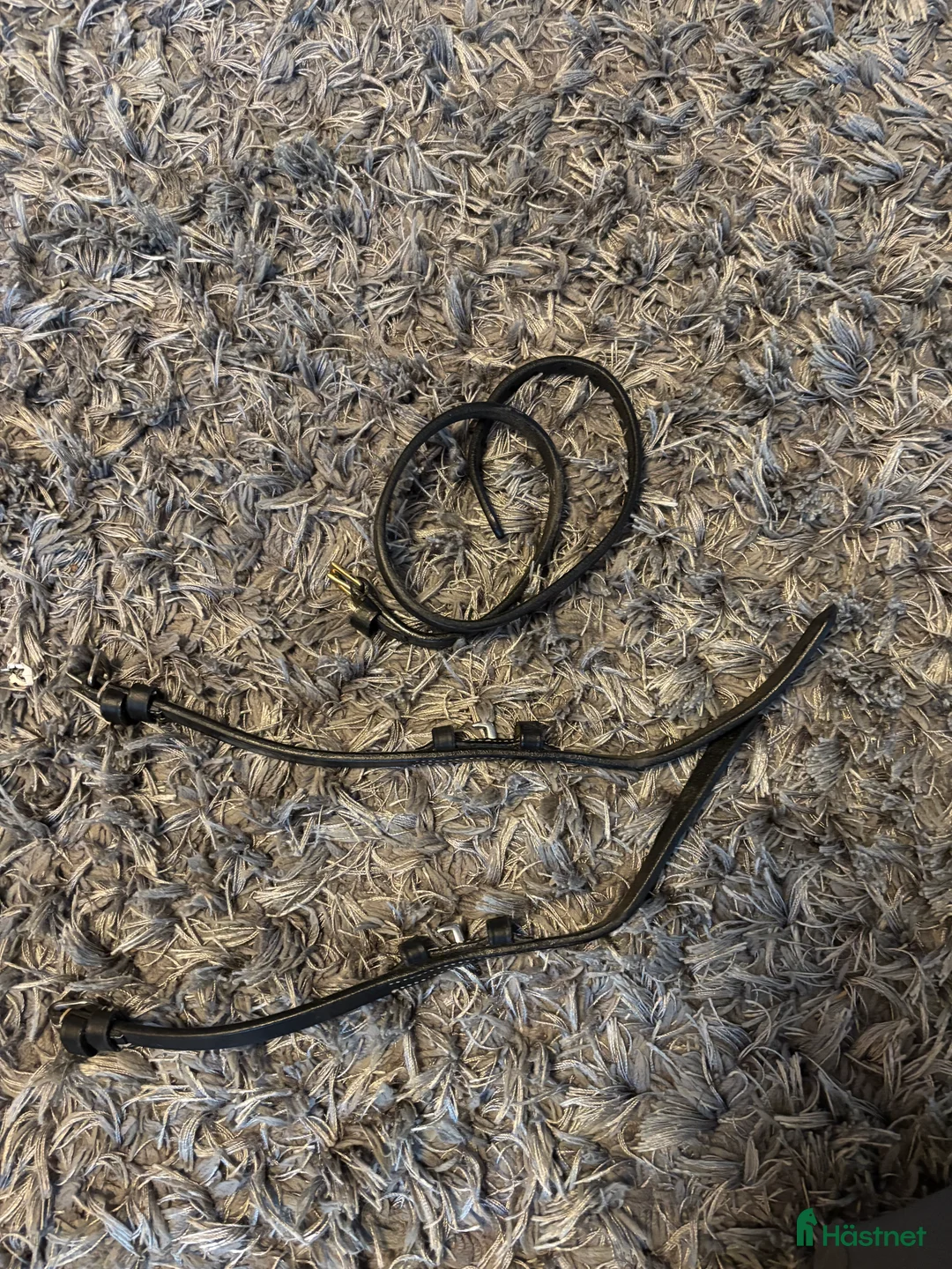 Övrig Hästutrustning hästutrustning till salu: Blandad hästutrustning  - Annons 5