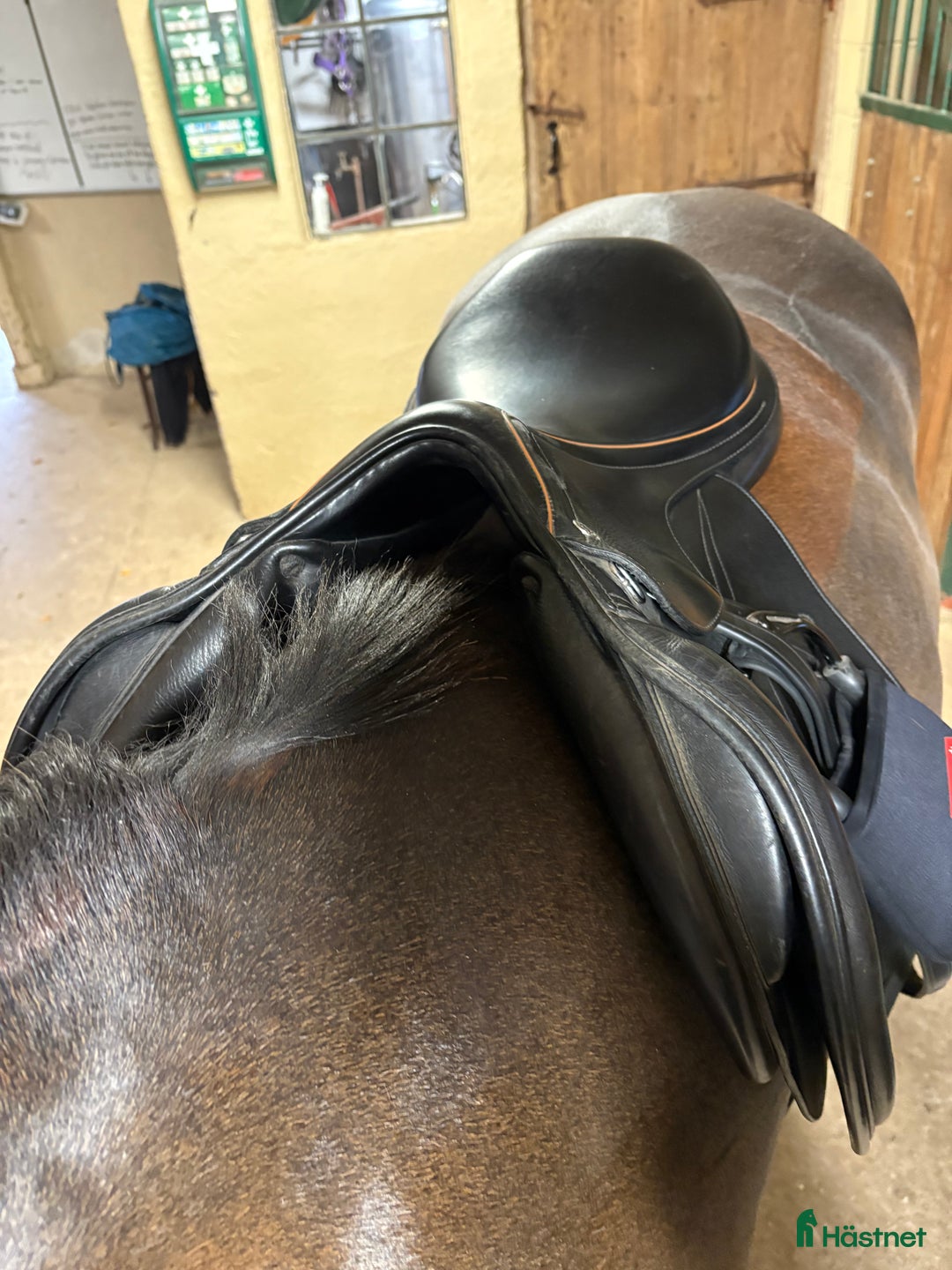 Sadlar hästutrustning till salu: Equipe expression  i Kristianstad - Annons 4