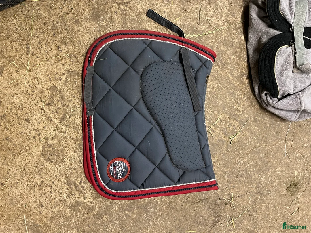 Schabrak & Vojlockar hästutrustning till salu: Schabrak  - Annons 1