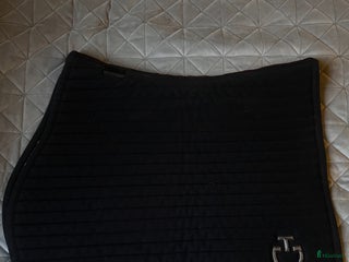 Schabrak & Vojlockar hästutrustning till salu: Cavalleria Toscana schabrak i Värnamo - Annons 1