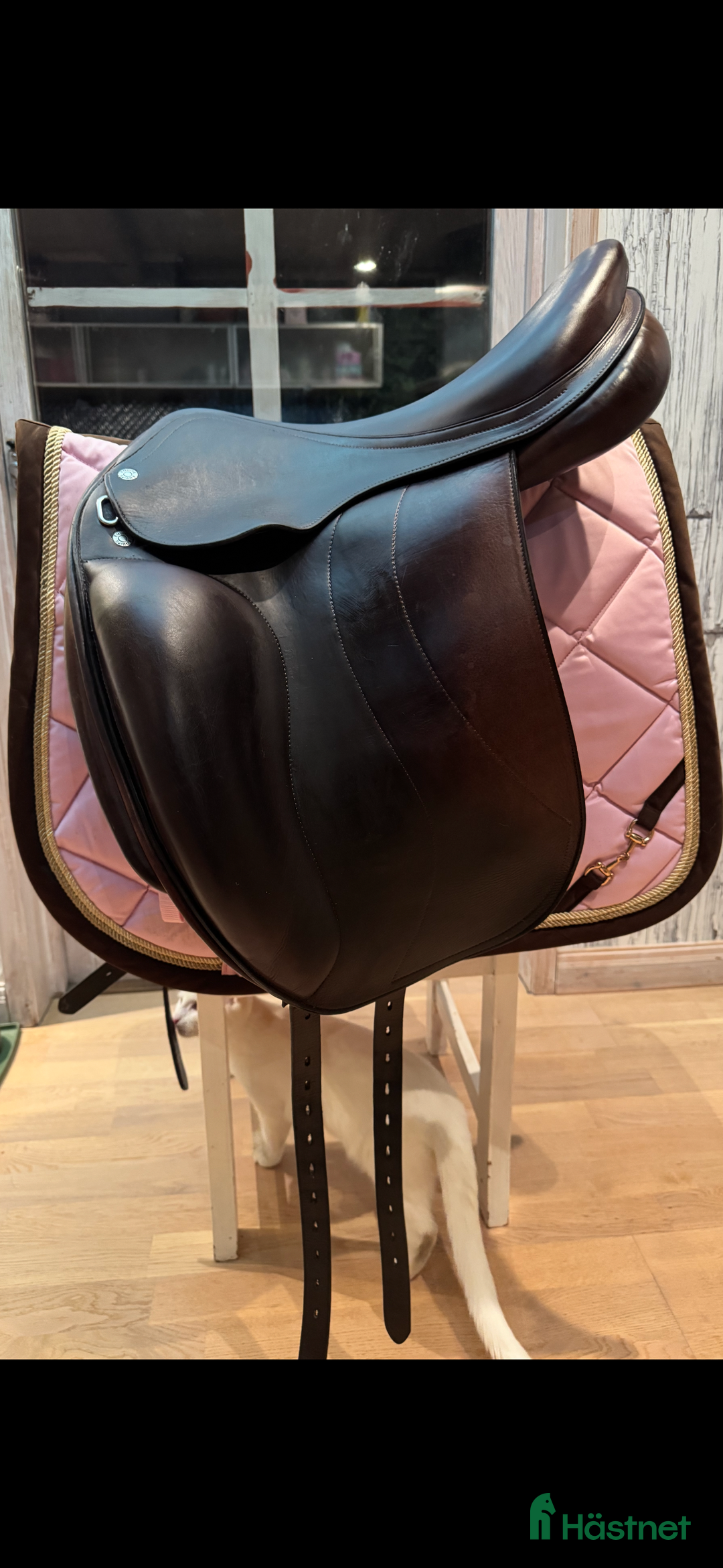 Sadlar hästutrustning till salu: Equipe emperio dressyrsadel i Gotlands Tofta - Annons 1