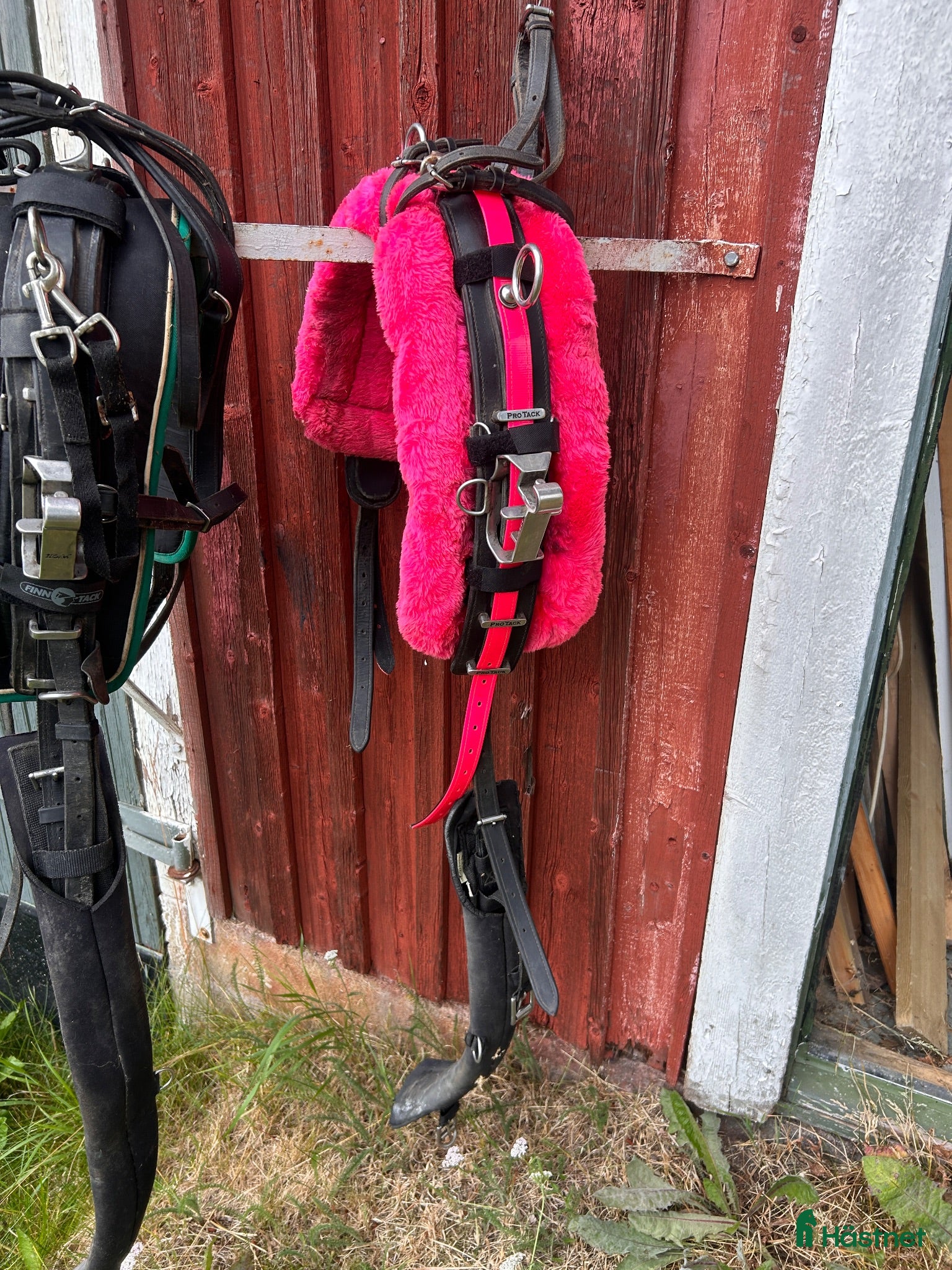 Travselar trav till salu: Rosa travsele - Annons 5