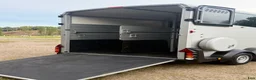 Hästtransporter  fordon & transport till salu: Ifor Williams-2021, största modell HBX511 - Annons 5