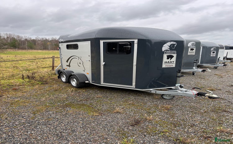 Hästtransporter  fordon & transport till salu: Nyinkommen Cheval gold 3-2023 i Tungelsta - Annons 11