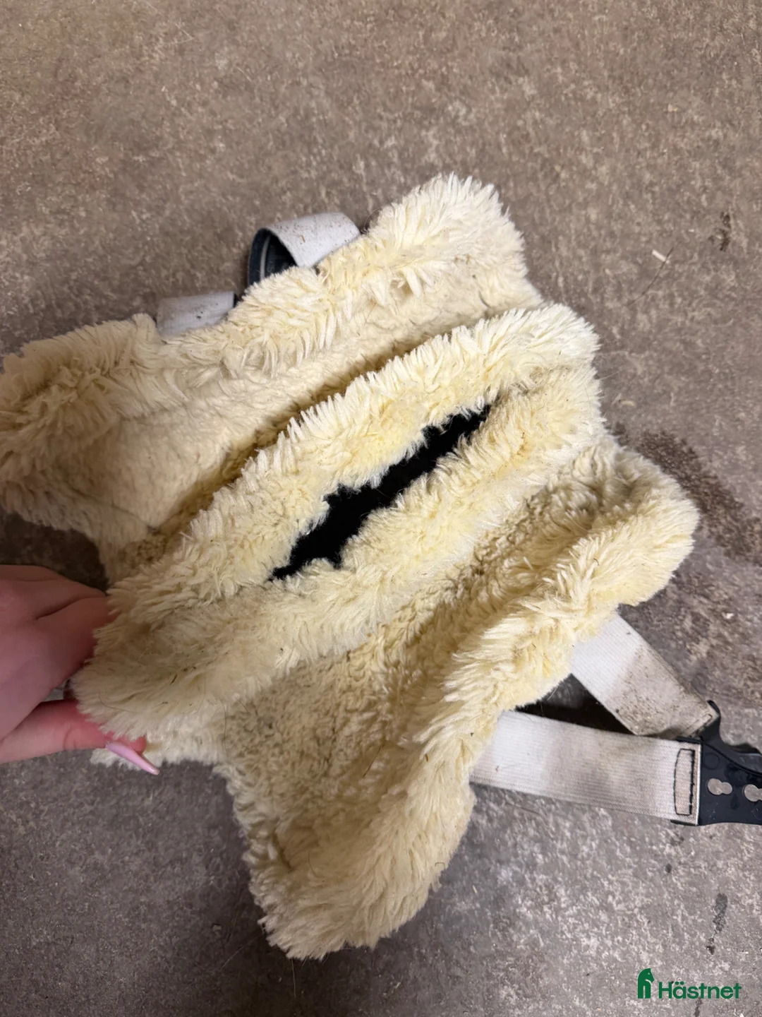 Benskydd hästutrustning till salu: Veredus benskydd - Annons 3