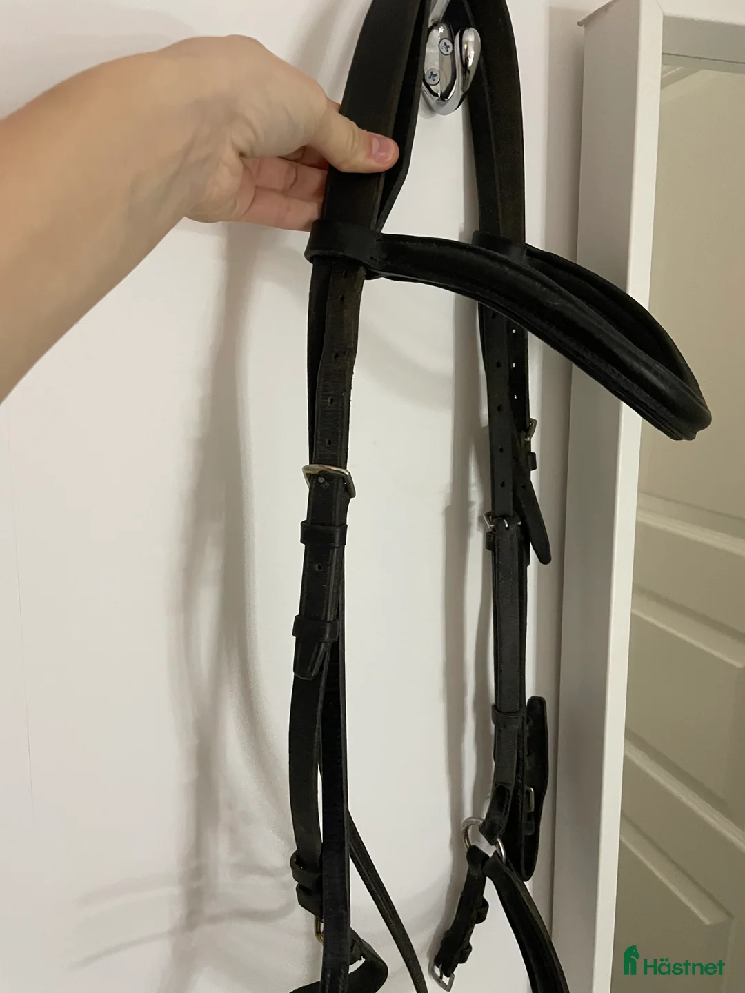 Träns hästutrustning till salu: Träns med remont  i Tierp - Annons 3