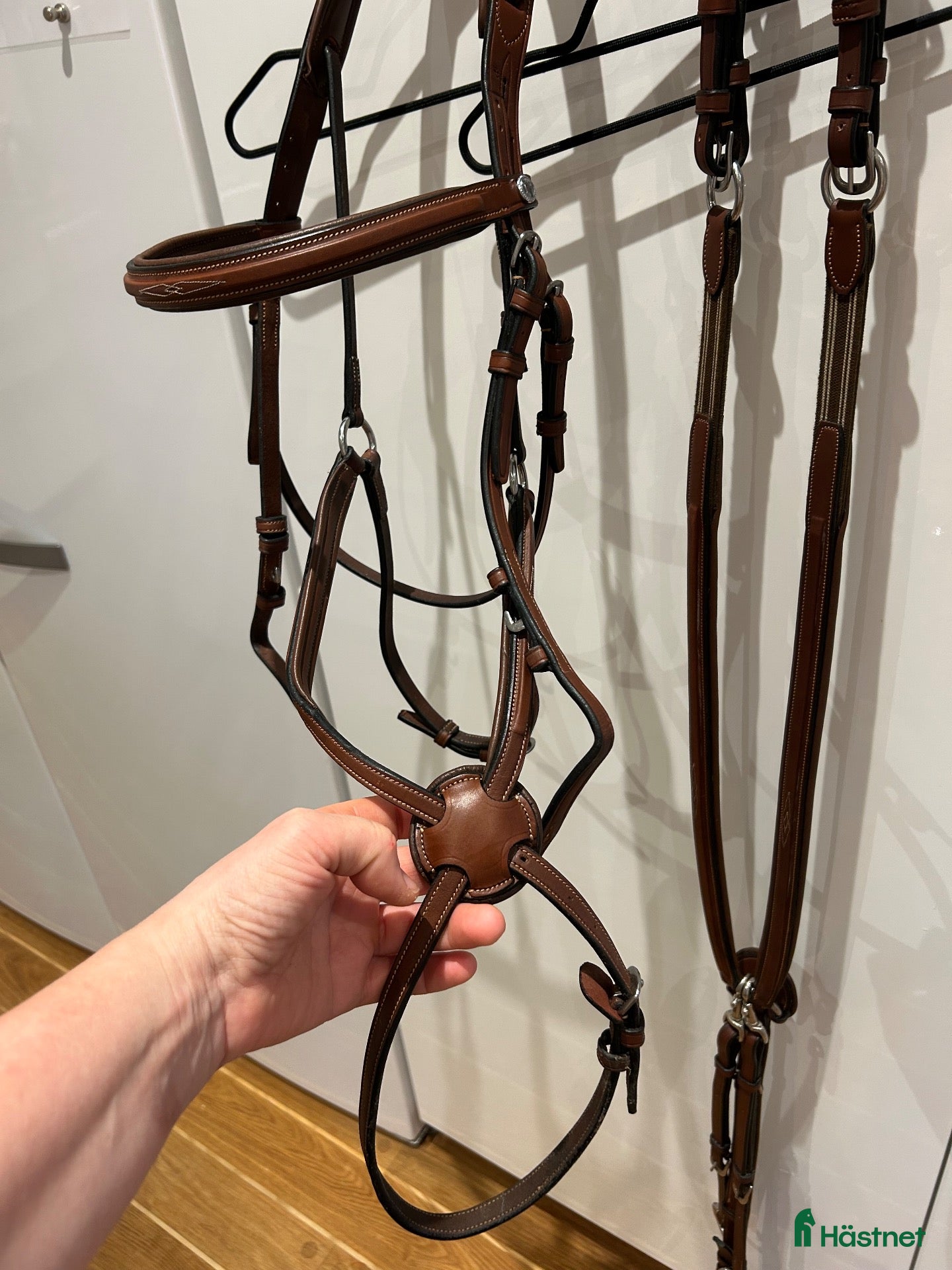 Träns hästutrustning Renaissance träns och brösta med martingal  - Annons 1