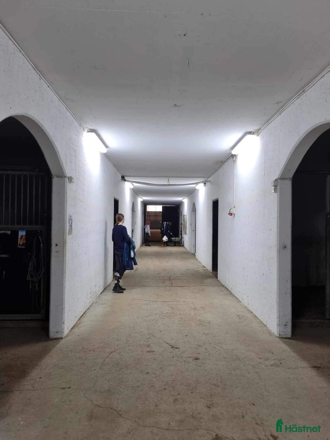  stallplats finnes: Stallplatser på Södertörn Ryttarcenter i Grödinge - Annons 3