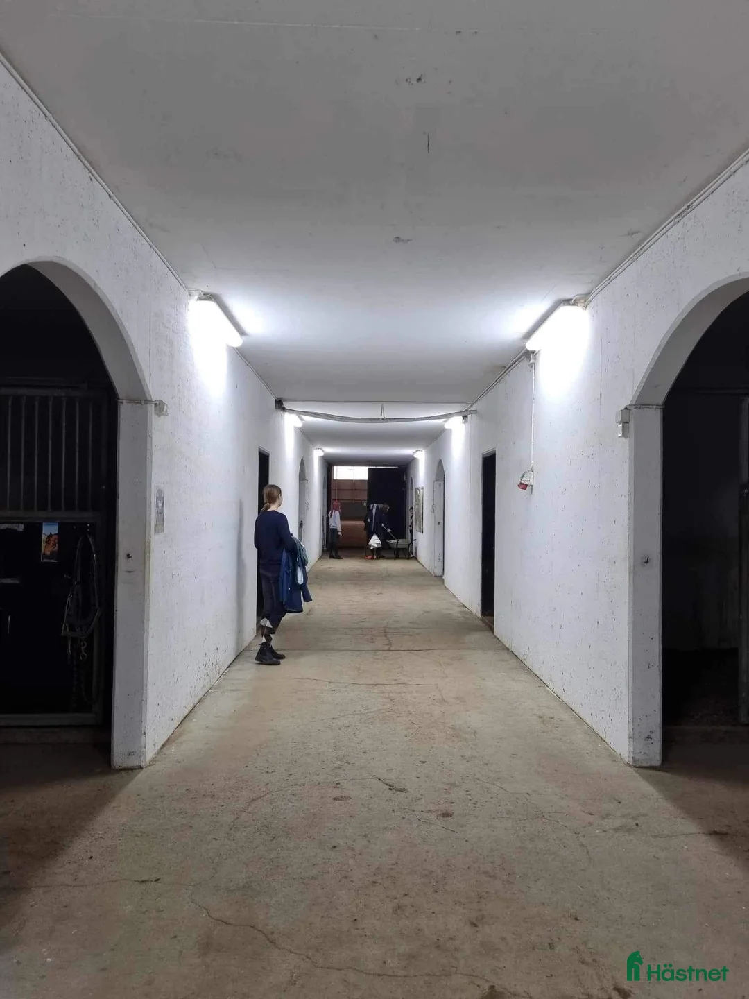  stallplats finnes: Stallplatser på Södertörn Ryttarcenter i Grödinge - Annons 3