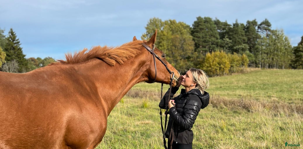 Galleribild {{count}}