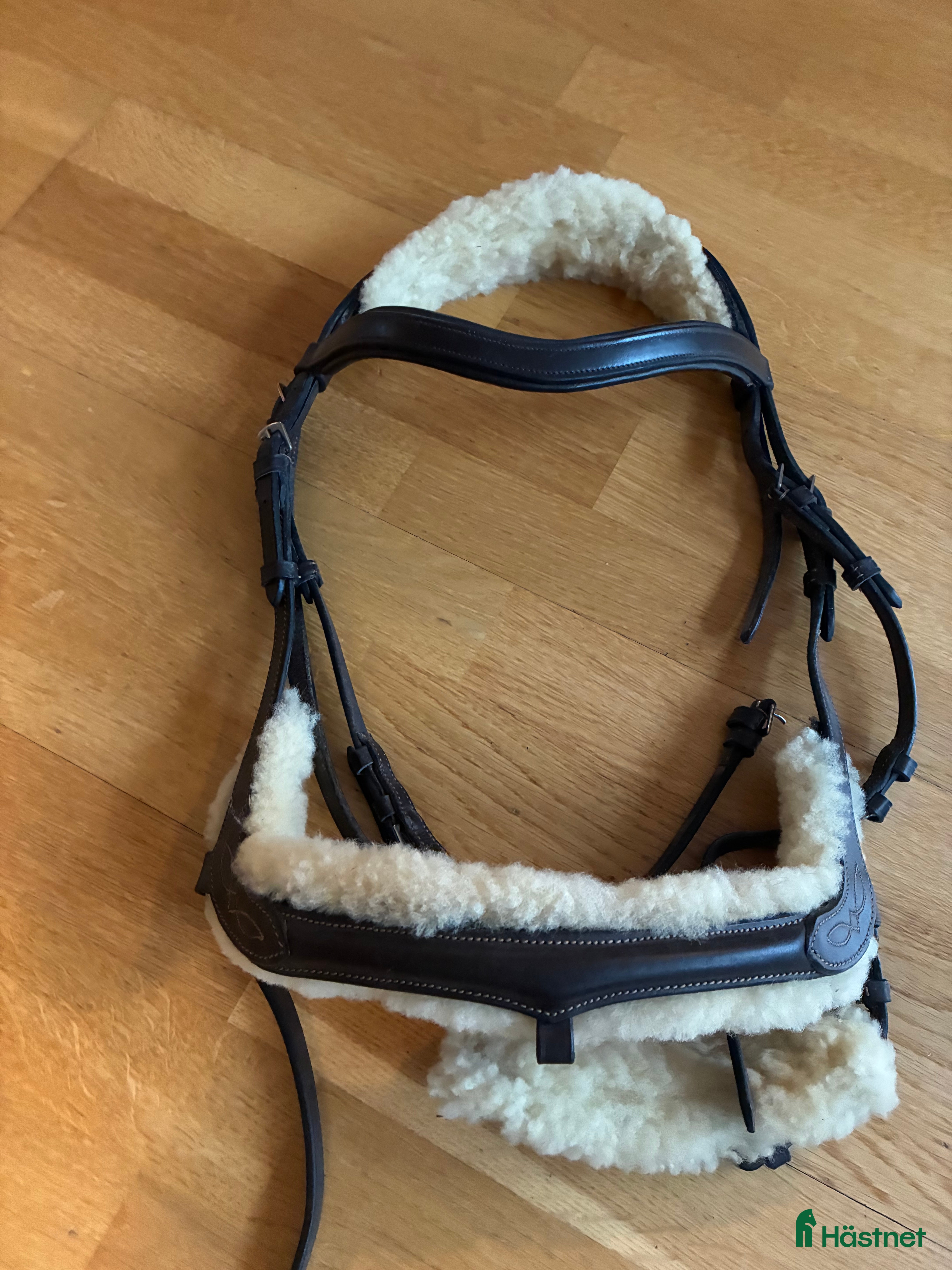 Träns hästutrustning Kavalkade träns i Lund - Annons 2