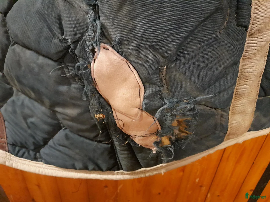 Täcken hästutrustning till salu: 130 cm show-stalltäcke fodrat - Annons 6