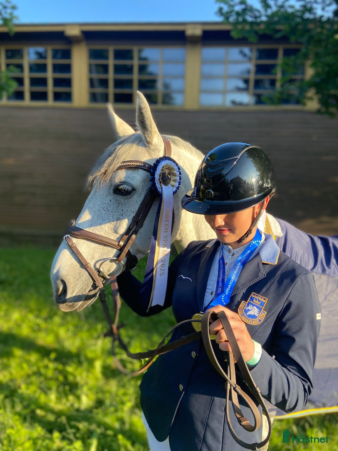 Hoppning hästar till salu: Välmeriterad mästerskapsponny i Kristianstad - Annons 4