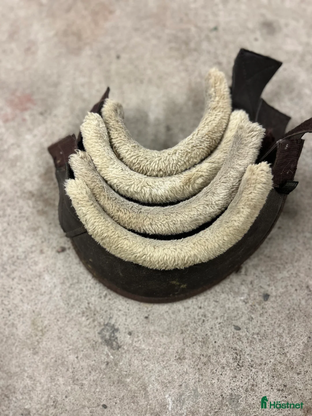 Övrig Hästutrustning hästutrustning till salu: Blandad utrustning? i Gävle - Annons 6