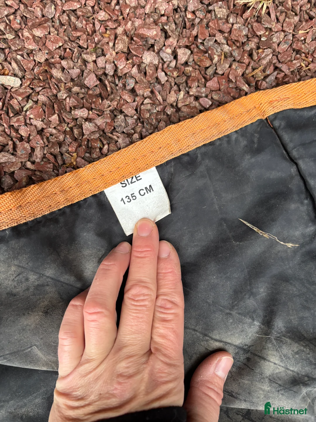 Täcken hästutrustning till salu: Regntäcke - Annons 4