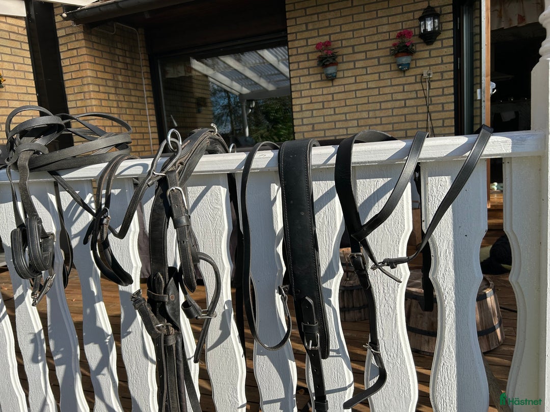 Körselar körning till salu: Komplett travsele i Karlstad - Annons 2