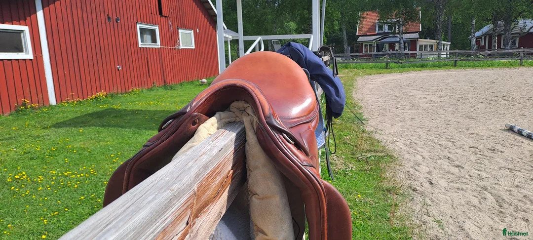 Sadlar hästutrustning till salu: LB FRANCE MONOFLAP DRESSYRSADEL 16tum i Långsele - Annons 4