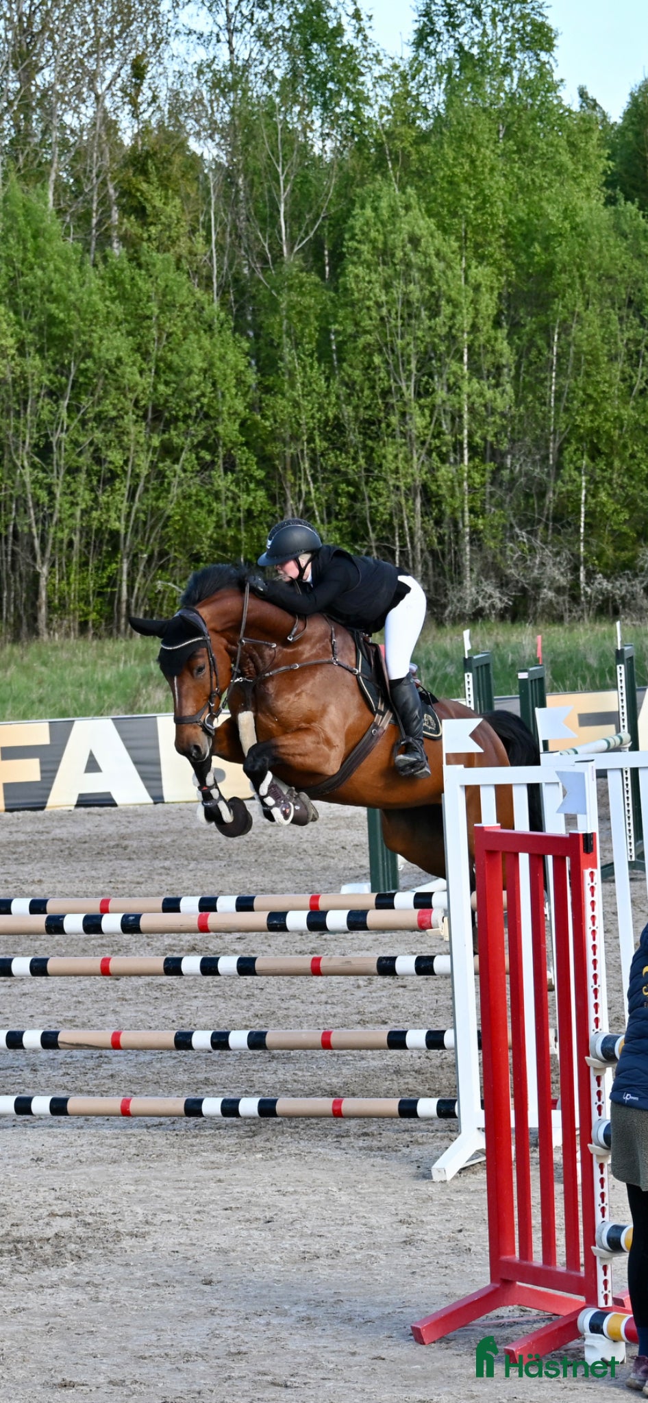  stallplats Sommarjobb/halvtidsjobb - Annons 18