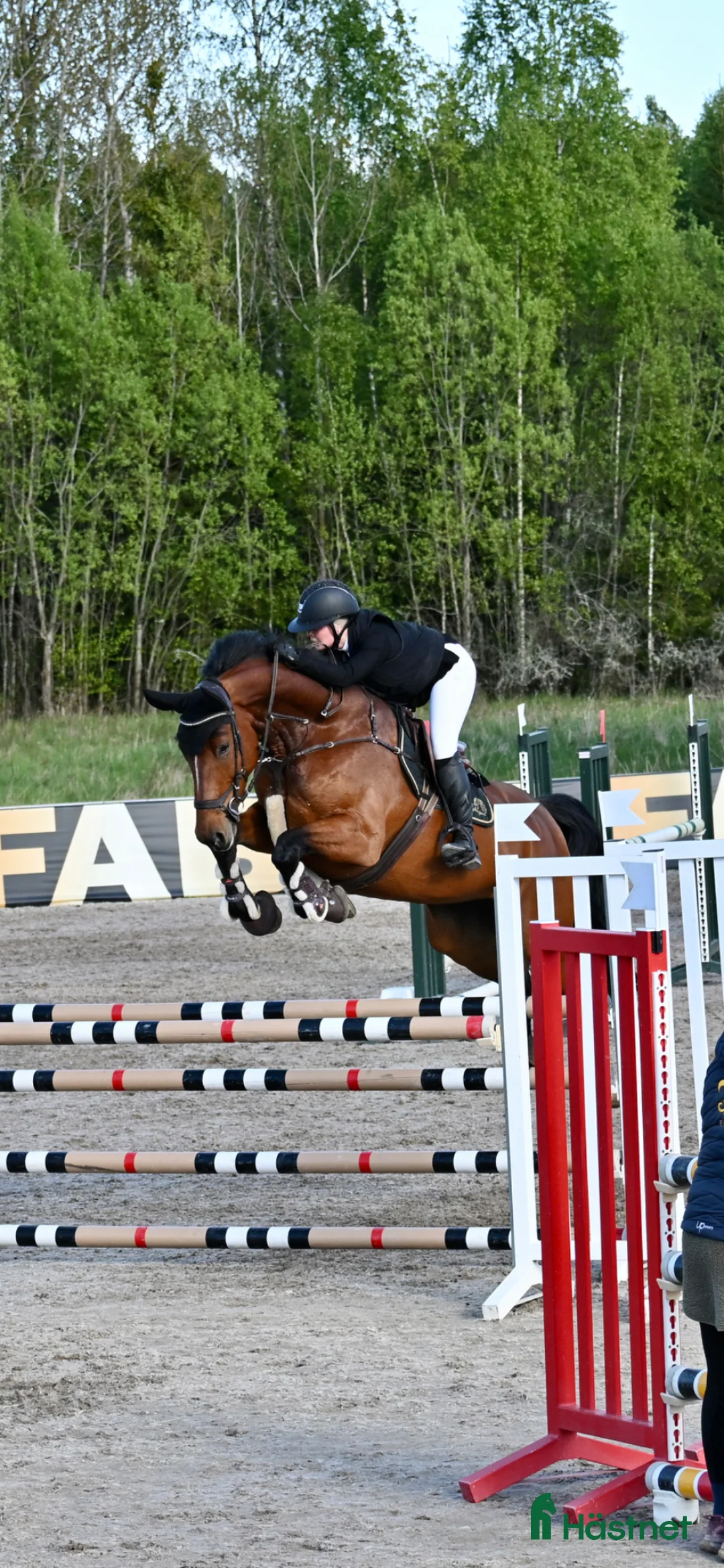  stallplats finnes: Sommarjobb/halvtidsjobb - Annons 1