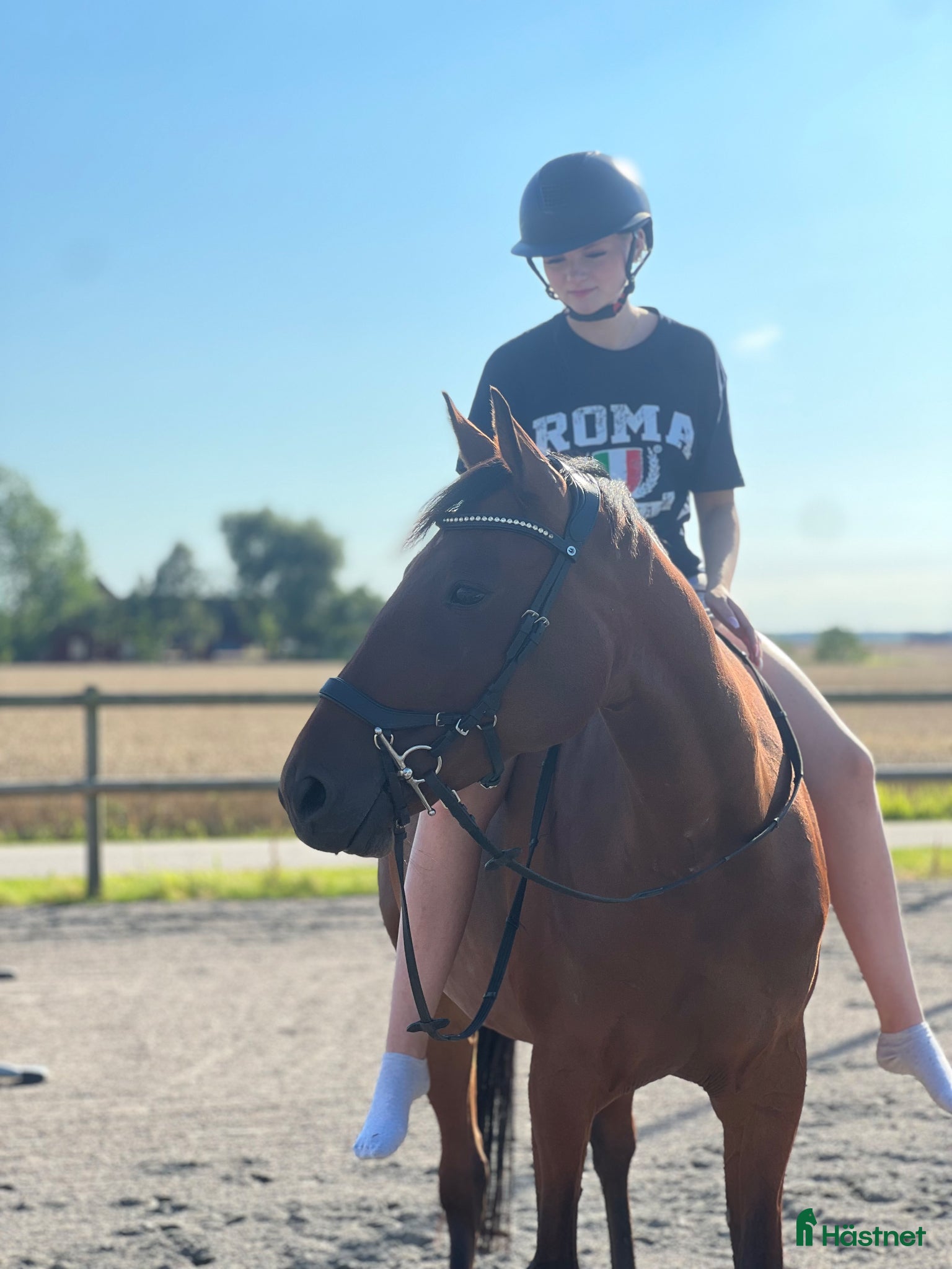  hästar Hjärtehäst till salu - Annons 14