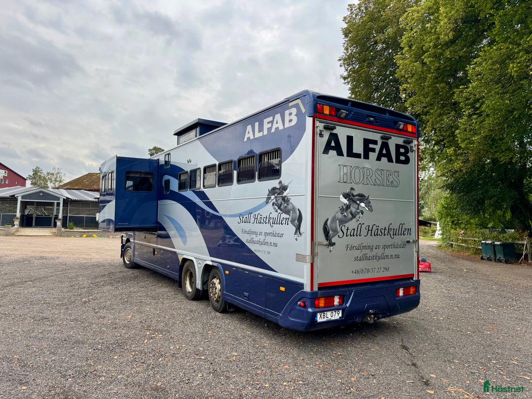 Hästlastbilar  fordon & transport till salu: Hästlastbil ketter i Åtvidaberg - Annons 1